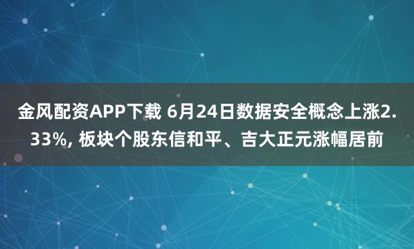 金风配资APP下载 6月24日数据安全概念上涨2.33%, 板块个股东信和平、吉大正元涨幅居前